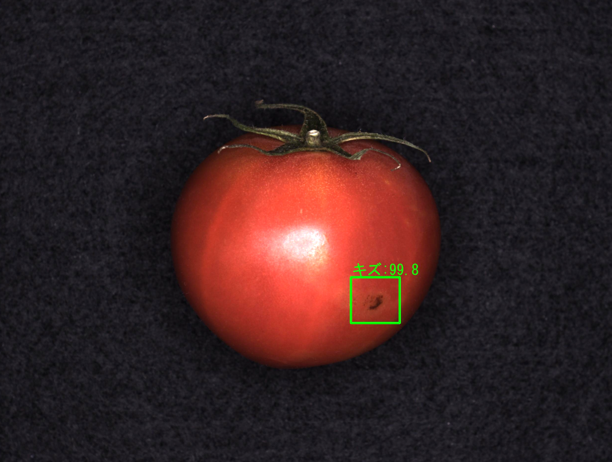 トマトの傷検査